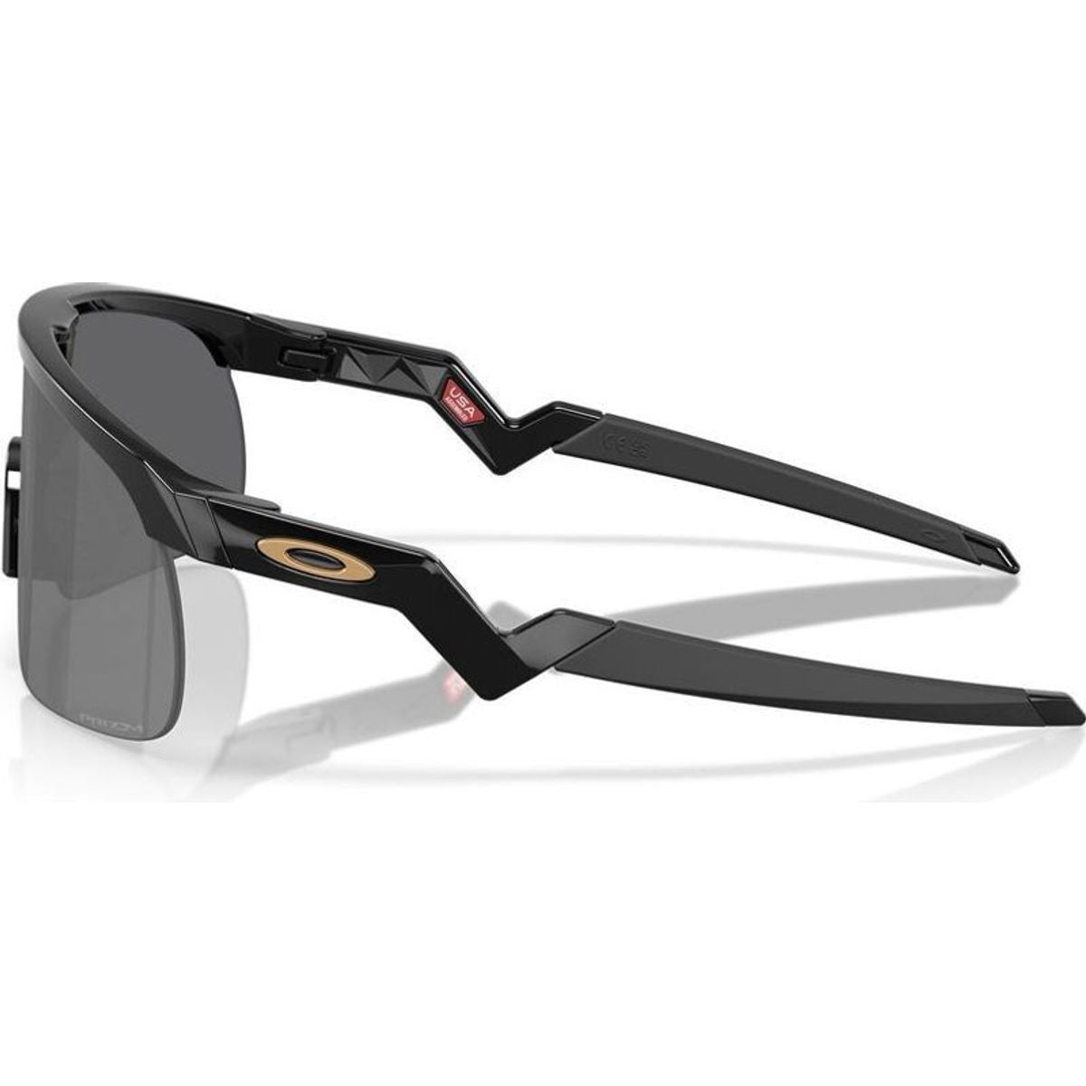 Oakley Youth Resistor Black Prizm Lenses, Black Frame