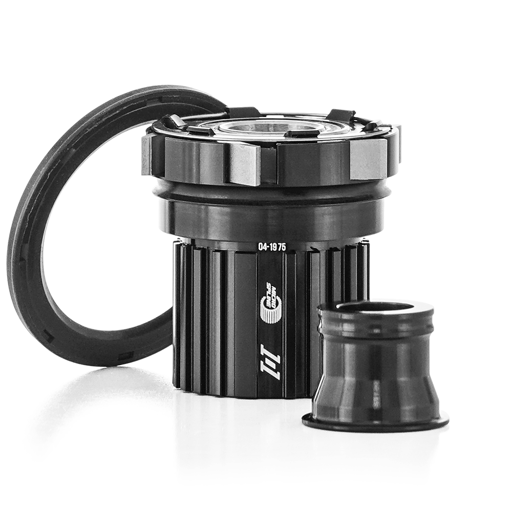 1/1 - MTN - MS - Freehub Complete Kit w/ bearings, pawls, springs & seal (includes DS 12x148 endcap)