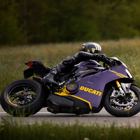 מגף רכיבה ספורט Elite GP מבית Falco שחור