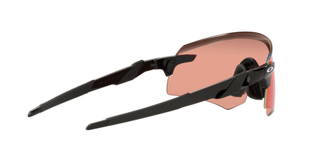 Encoder Polished Black Prizm Field