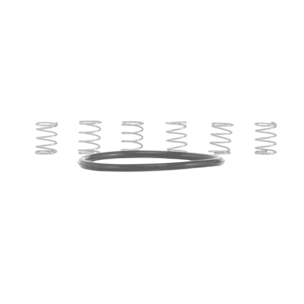 Small Parts - Torch - MTN - Pawl Spring Kit (Includes Drive Side O-ring)